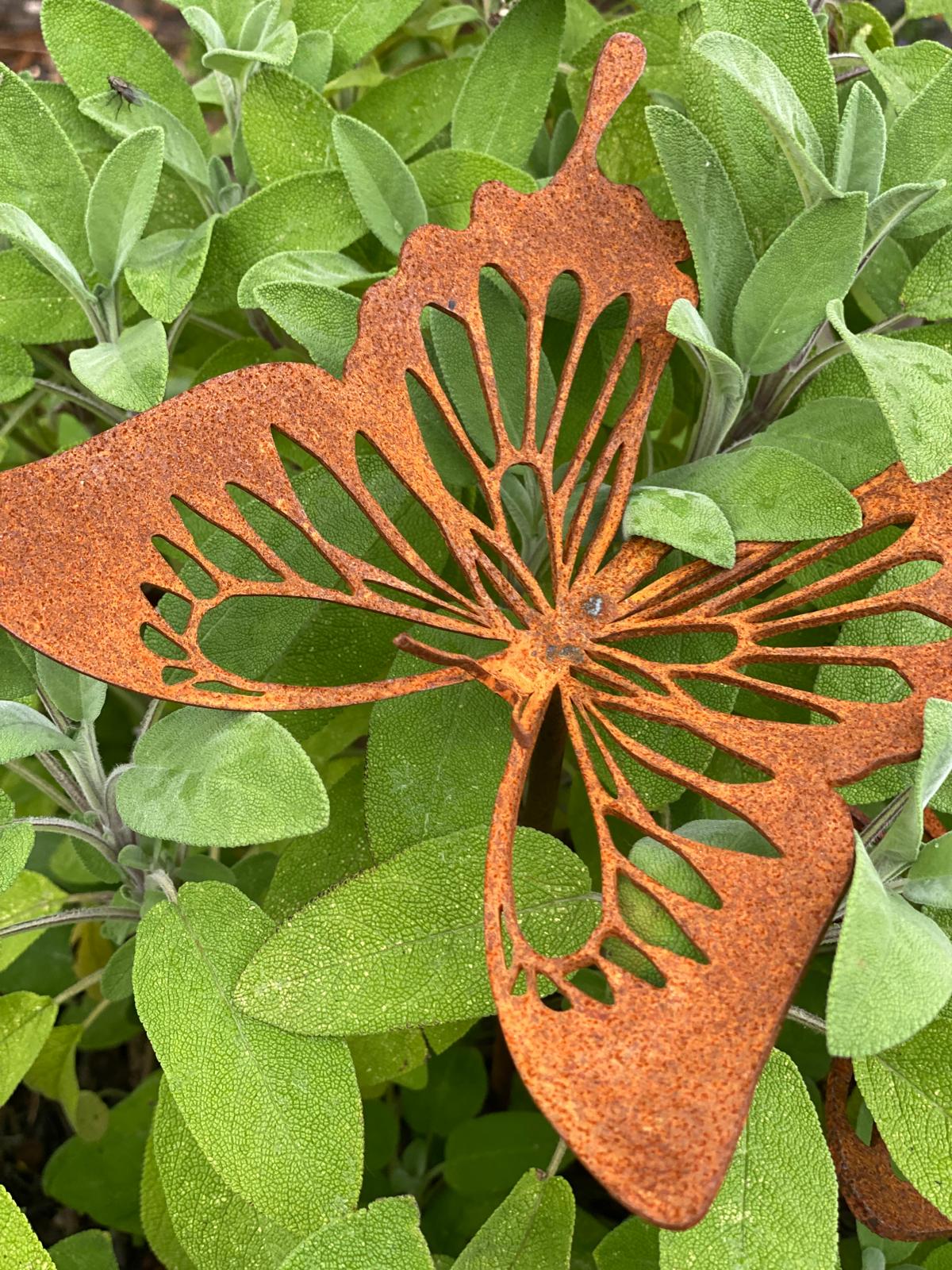 cortenstaal vlinder tuindecoratie cortenstaal vlinder tuindecoratie